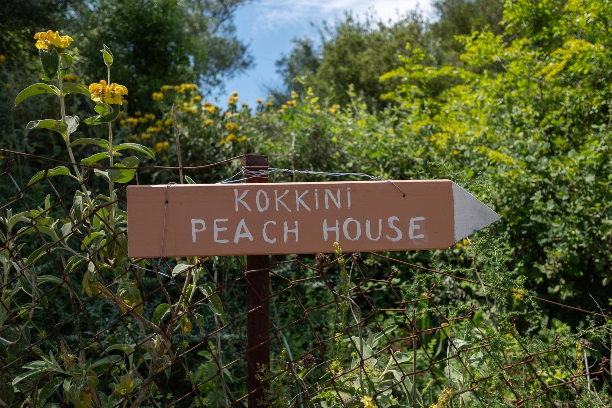 Апартаменты Kokkini Peach House Kokkinion Экстерьер фото